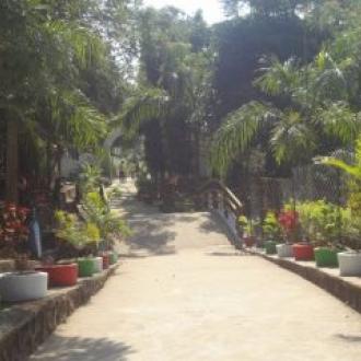 Satiguda Eco Park Road towards Boating Place