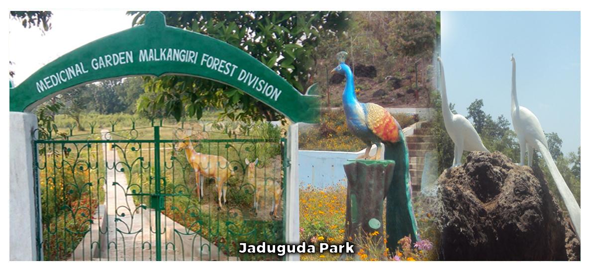 Jaduguda Park