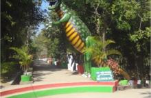 Satiguda Eco Park Inner View  