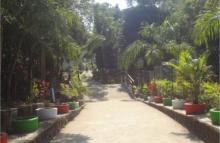 Satiguda Eco Park Road towards Boating Place